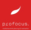 Fabian Weibel Profocus